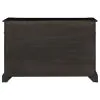 CoasterEssence 121235 Phelps - 2 Door Sideboard Buffet Cabinet - Distressed Noir