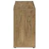 Coaster Fine Furniture 950394 Pepita - 2 Door Engineered Wood Accent Cabinet - Mango Brown