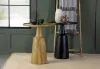 CoasterEssence 915109 Ixia - Round Solid Mango Wood Accent Side Table - Black Stain