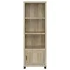 Coaster Fine Furniture 707746 Sachin - 3-Shelf Engineered Wood Media Tower - Distressed Pine