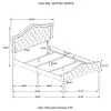 CoasterEssence 315871Q Bella - Upholstered Queen Panel Bed - Gray