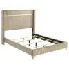 Coaster Fine Furniture 224731QB1 Lucia - Queen Headboard, Headboard Wings, Footboard & Slats, Box 1 of 2 - Beige