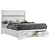 CoasterEveryday 205111F Miranda - Wood Full Storage Panel Bed - White