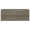 CoasterEssence 701024 Burke - 2-Drawer Engineered Wood TV Stand - Gray Driftwood