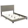 Coaster Fine Furniture 300851Q Dorian - Fabric Upholstered Queen Panel Bed - Taupe