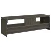 CoasterEssence 701979 Elkton - 2-Drawer Engineered Wood TV Stand - Weathered Gray