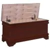 CoasterEssence 900022 Pablo - Cedar Chest - Warm Brown