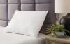 Ashley Sleep® M52110 Zephyr 2.0 - Cotton Pillow (Set of 2)(9/CS) - White
