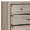 Samuel Lawrence Furniture S496-440 River Creek - Kids 5-Drawer Vertical Chest - River Birch Brown