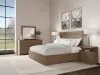 Riverside Furniture 73986-73981-73972 Riverside Furniture 73986-73981-73972 Cascade - King Panel Bed With Light - Casual Mink