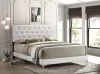 CoasterEveryday 224401Q Kendall - Upholstered Queen Panel Bed - White