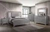 Furniture of America CM7579M Alanis - Mirror - Light Gray