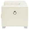 CoasterElevations 505393 Chaviano - Upholstered Track Arm Accent Chair - Pearl White