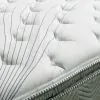 Furniture of America DM338Q-M Stormin - Euro Pillow Top Mattress 80