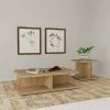 Coaster Fine Furniture 706177 Cortona - Square Engineered Wood End Side Table - Mango