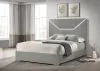 Coaster Fine Furniture 224971QB1 Ives - Queen Headboard & Footboard, Box 1 of 2 - Gray High Gloss