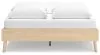 Ashley Furniture EB2444-113 Cabinella - Queen Platform Bed - Tan