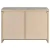 CoasterEveryday 950785 Enoch - 2 Door Engineered Wood Accent Cabinet - Gray Driftwood