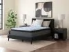 Sierra Sleep® by Ashley M33221 Sierra Sleep® by Ashley M33221 Destin Cove PT - Full Mattress - Blue