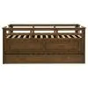 Coaster Fine Furniture 400716T Carlsbad - Wood Twin Captains Bed With Trundle - Medium Brown