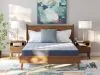 Sierra Sleep® by Ashley M20131 Sierra Sleep® by Ashley M20131 Peak 2.0 Bonnell - Queen Mattress - Light Blue