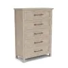 Riverside Furniture 79265 Bennett - Five Drawer Chest - Frosted Gray