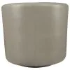 CoasterEssence 902726 Turner - Upholstered Barrel Back Swivel Chair - Champagne