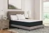 Sierra Sleep® by Ashley M41131 Sierra Sleep® by Ashley M41131 Limited Edition Plush - Queen Mattress - White