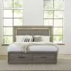 Liberty Furniture 272-BR-KSB Horizons - King Storage Bed - Graystone