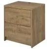 Coaster Fine Furniture 315902 Westpark - 2-Drawer Nightstand LED Lights And USB - Mango