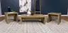 Coaster Fine Furniture 704128-S3 Lynette - 3 Piece Rectangular Coffee And End Table Set - Mango