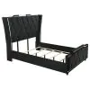 Coaster Fine Furniture 223161Q Lorient - Queen LED Upholstered Wingback Bed - Black