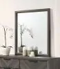 Furniture of America CM7472GY-M Vagan - Mirror