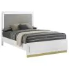 Coaster Fine Furniture 224771QB2 Caraway - Queen Side Rails, Box 2 of 2 - White