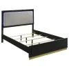 Coaster Fine Furniture 224781Q Caraway - Wood Queen LED Panel Bed - Black