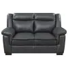 CoasterEveryday 506592 Arabella - Upholstered Padded Arm Loveseat - Gray
