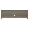 CoasterEssence 701025 Burke - 2 Door Engineered Wood TV Stand - Gray Driftwood