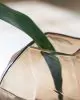 Ashley Furniture A2000867 Ewart - Vase - 12