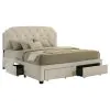 Coaster Fine Furniture 316011KEB1 Marianna - King Headboard, Drawers & Slats, Box 1 of 2 - Cream