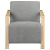 CoasterEveryday 902269 Diego - Upholstered Accent Arm Chair With Wood Arms - Gray