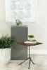 CoasterEssence 931206 Heitor - Square Wood Top Accent Side Table - Dark Brown