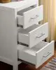 Furniture of America CM-BK970-BED Cassidy - Twin Loft Bed With Drawers - White