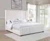 Coaster Fine Furniture 306051KW Natasha - Upholstered California King Bed - Cream