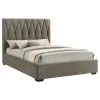 Coaster Fine Furniture 315975Q Delsea - Upholstered Queen Panel Platform Bed - Light Brown