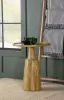 CoasterEssence 915105 Ixia - Round Solid Mango Wood Accent Side Table - Natural