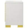 Coaster Fine Furniture 222932 Marceline - 2-Drawer Nightstand - White