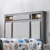 Furniture of America CM7556CK-BED Daphne - California King Bed - Gray
