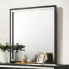 Coaster Fine Furniture 224994 Lucia - Dresser Mirror - Black