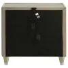 Coaster Fine Furniture 222662 Lorient - 2-Drawer LED Nightstand With USB - Ivory And Camel