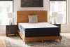 Sierra Sleep® by Ashley M44521 Sierra Sleep® by Ashley M44521 Ashley Firm - Full Mattress - White